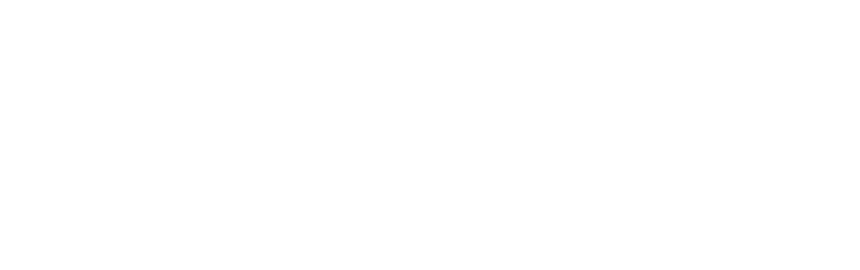 NASM Logo